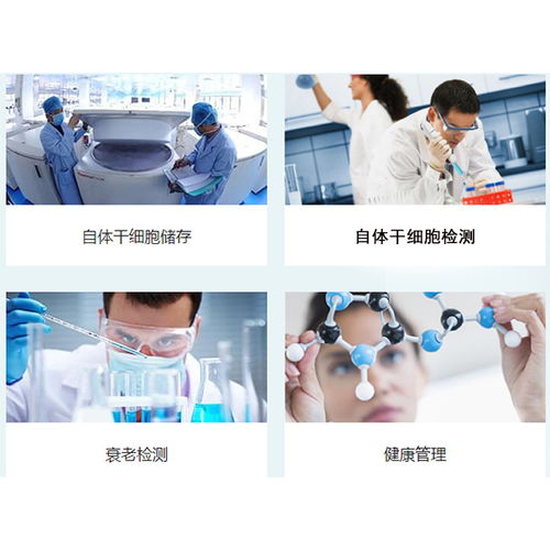 探索未來健康保障 河北盛世利眾生物臍帶間充質干細胞保存與信息服務解析